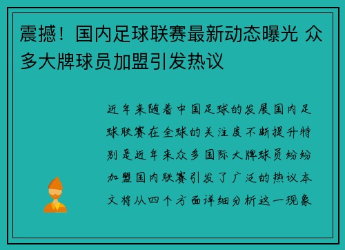震撼！国内足球联赛最新动态曝光 众多大牌球员加盟引发热议