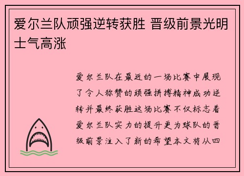 爱尔兰队顽强逆转获胜 晋级前景光明士气高涨